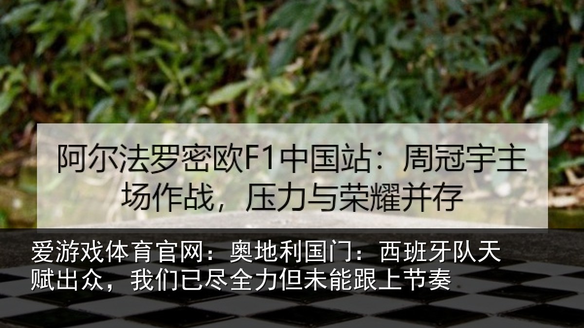 爱游戏体育官网：奥地相关情况赋出相关情况未能跟上节奏